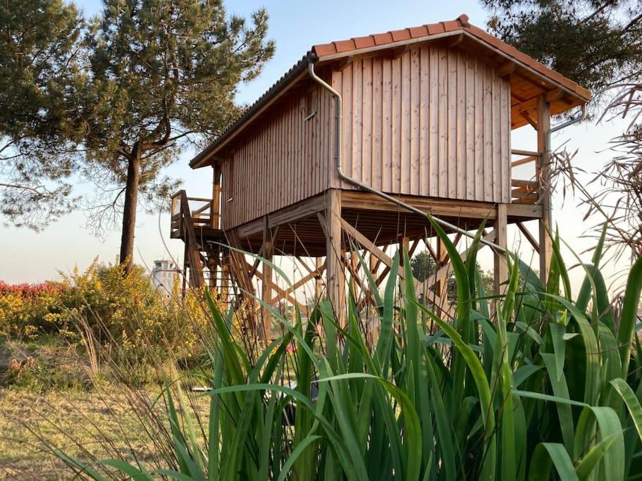 L'Observatoire De L'Aerogrange Biscarrosse Exterior foto
